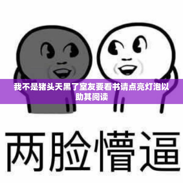 我不是猪头天黑了室友要看书请点亮灯泡以助其阅读