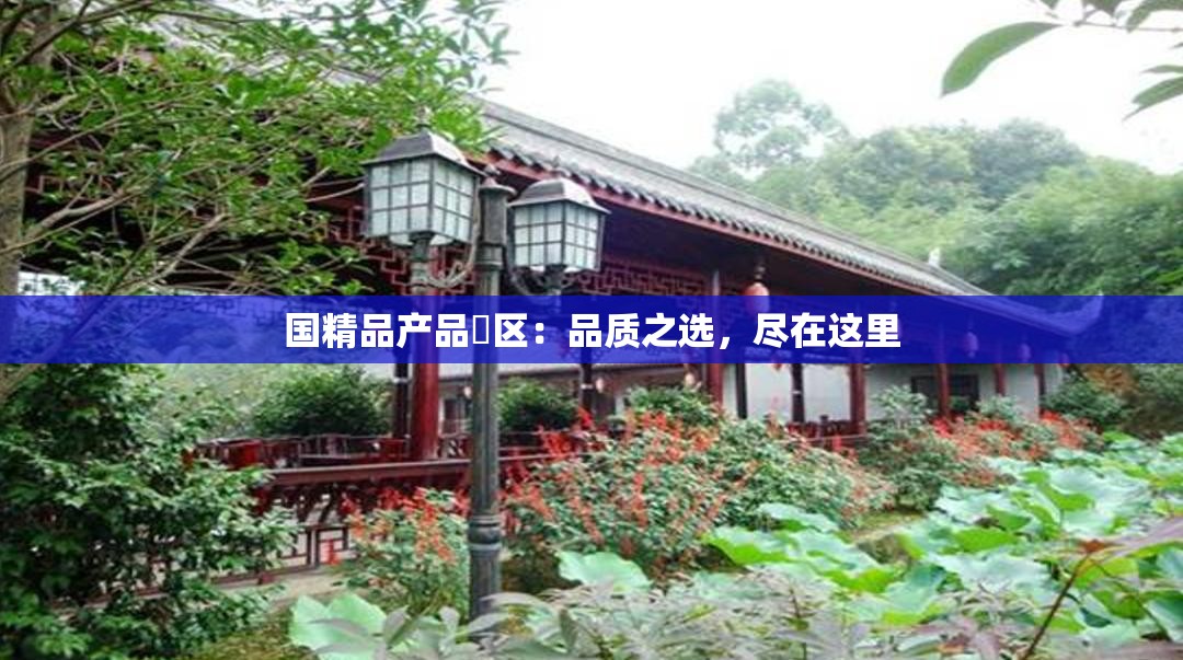 国精品产品ᅳ区：品质之选，尽在这里