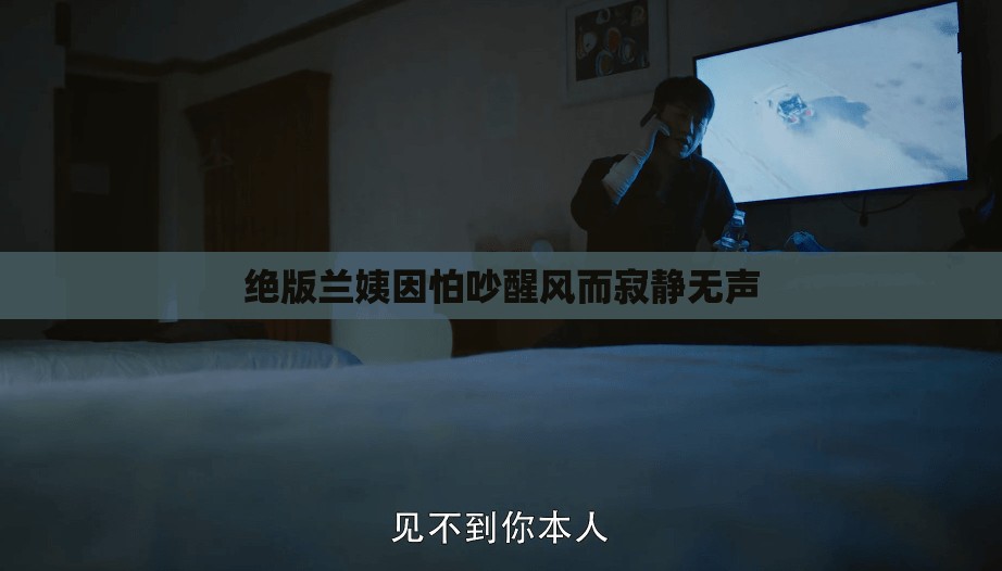 绝版兰姨因怕吵醒风而寂静无声
