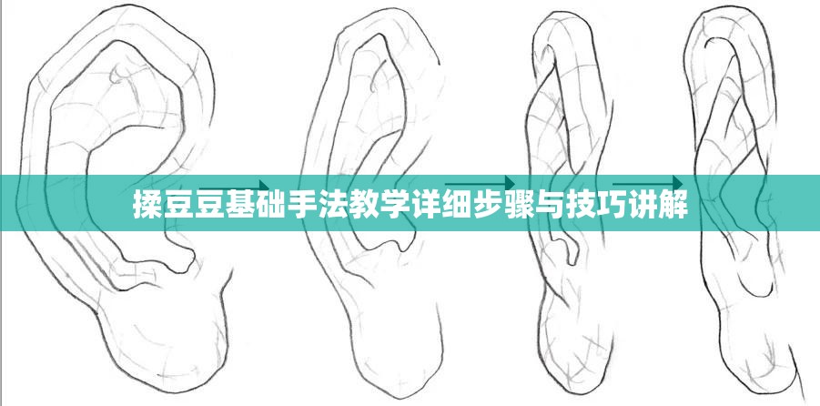 揉豆豆基础手法教学详细步骤与技巧讲解