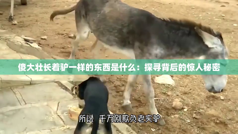 傻大壮长着驴一样的东西是什么：探寻背后的惊人秘密