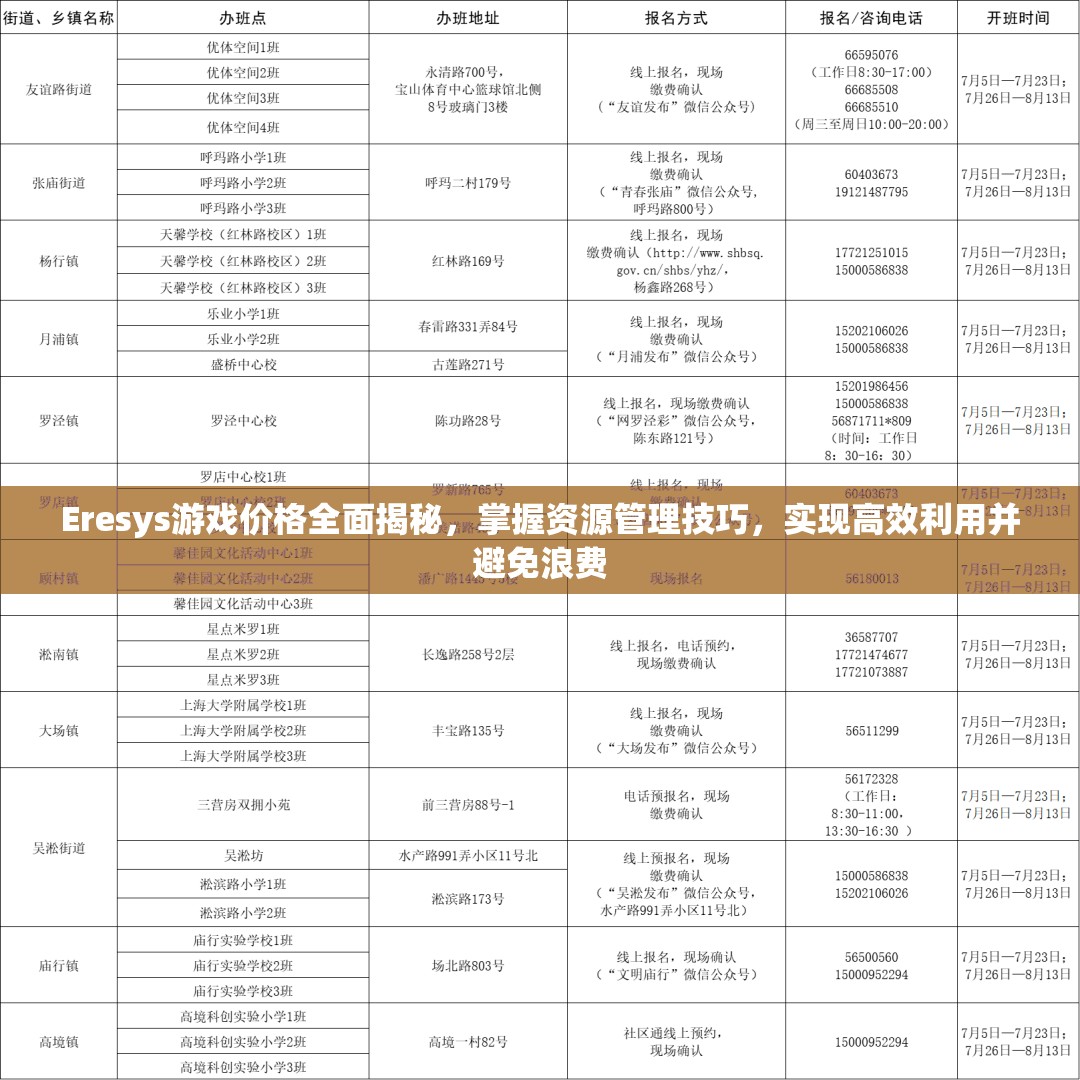 Eresys游戏价格全面揭秘，掌握资源管理技巧，实现高效利用并避免浪费