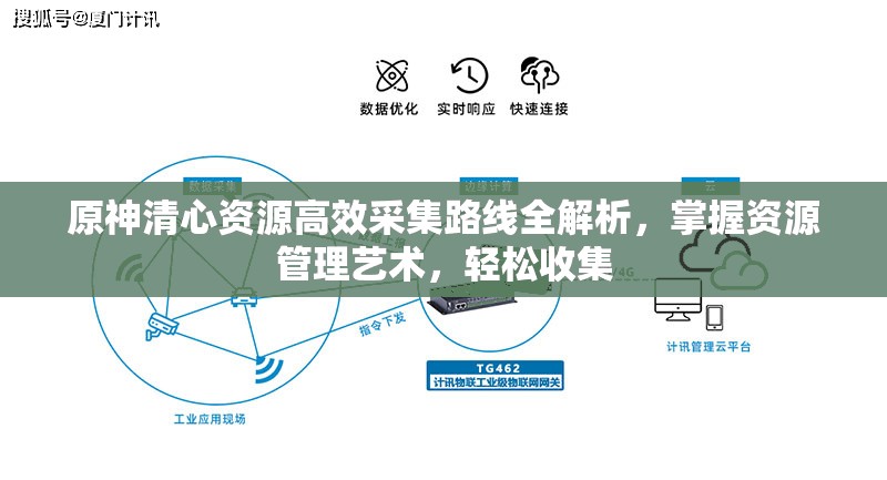 原神清心资源高效采集路线全解析，掌握资源管理艺术，轻松收集