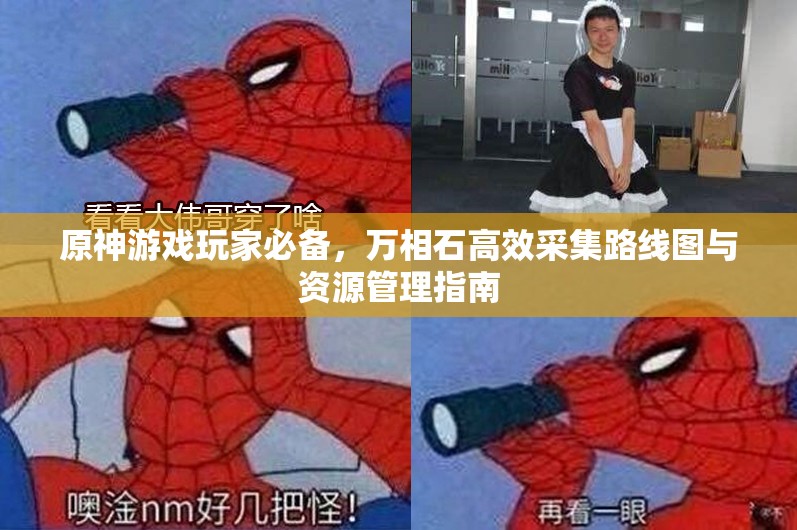 原神游戏玩家必备，万相石高效采集路线图与资源管理指南