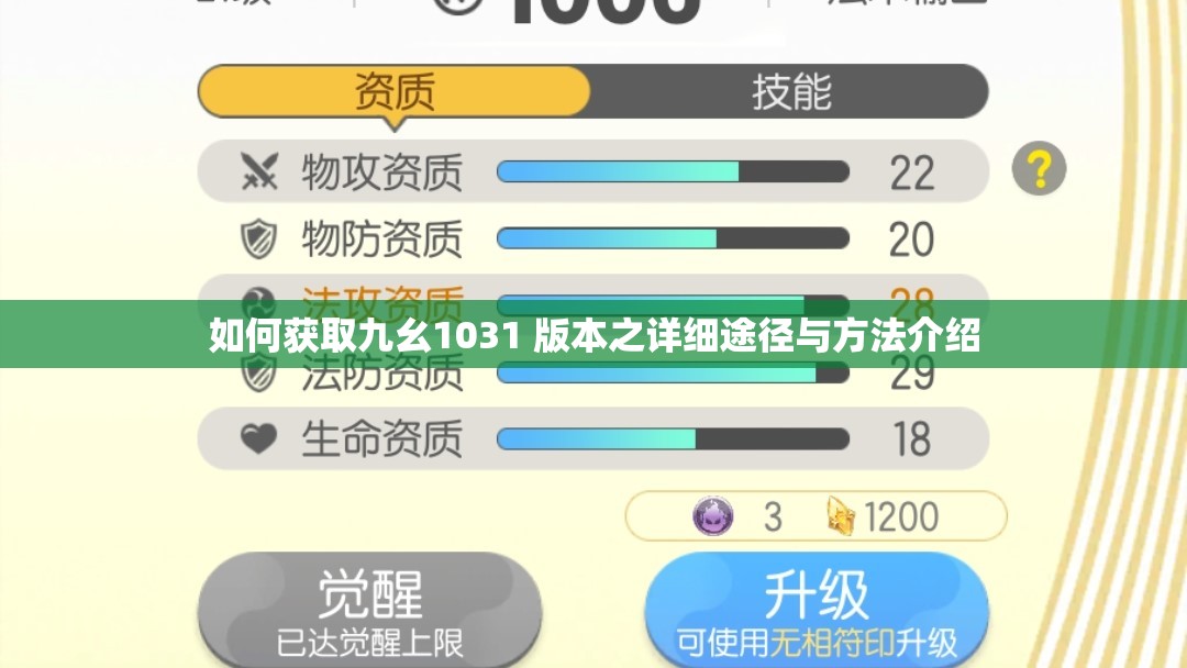 如何获取九幺1031 版本之详细途径与方法介绍