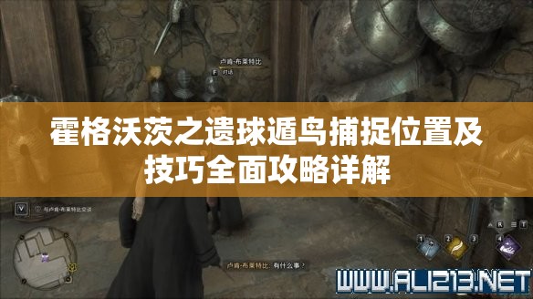 霍格沃茨之遗球遁鸟捕捉位置及技巧全面攻略详解