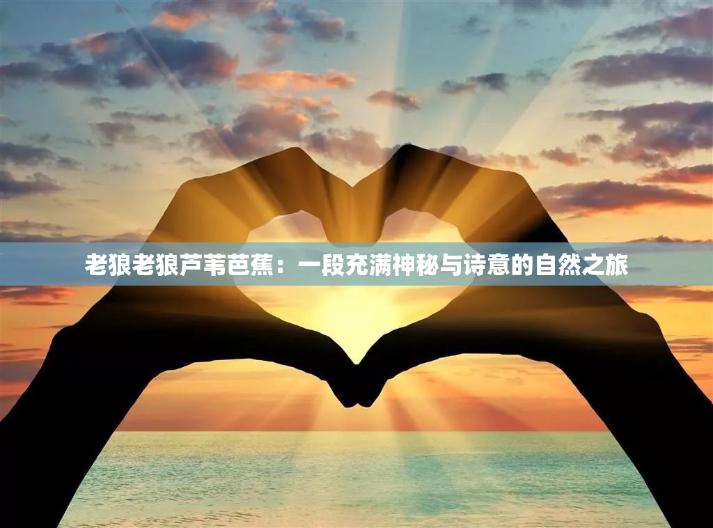 老狼老狼芦苇芭蕉：一段充满神秘与诗意的自然之旅