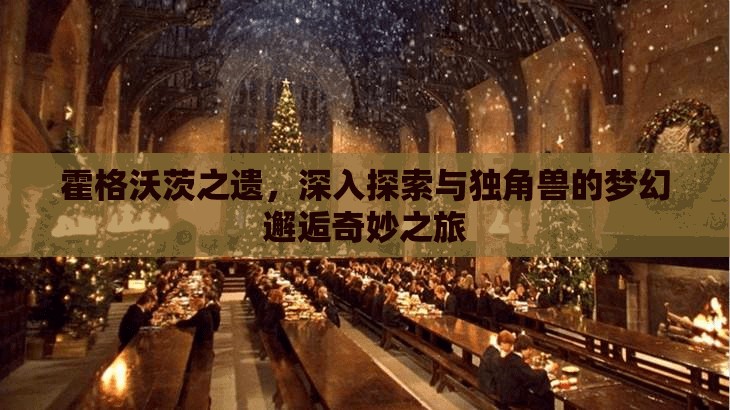 霍格沃茨之遗，深入探索与独角兽的梦幻邂逅奇妙之旅