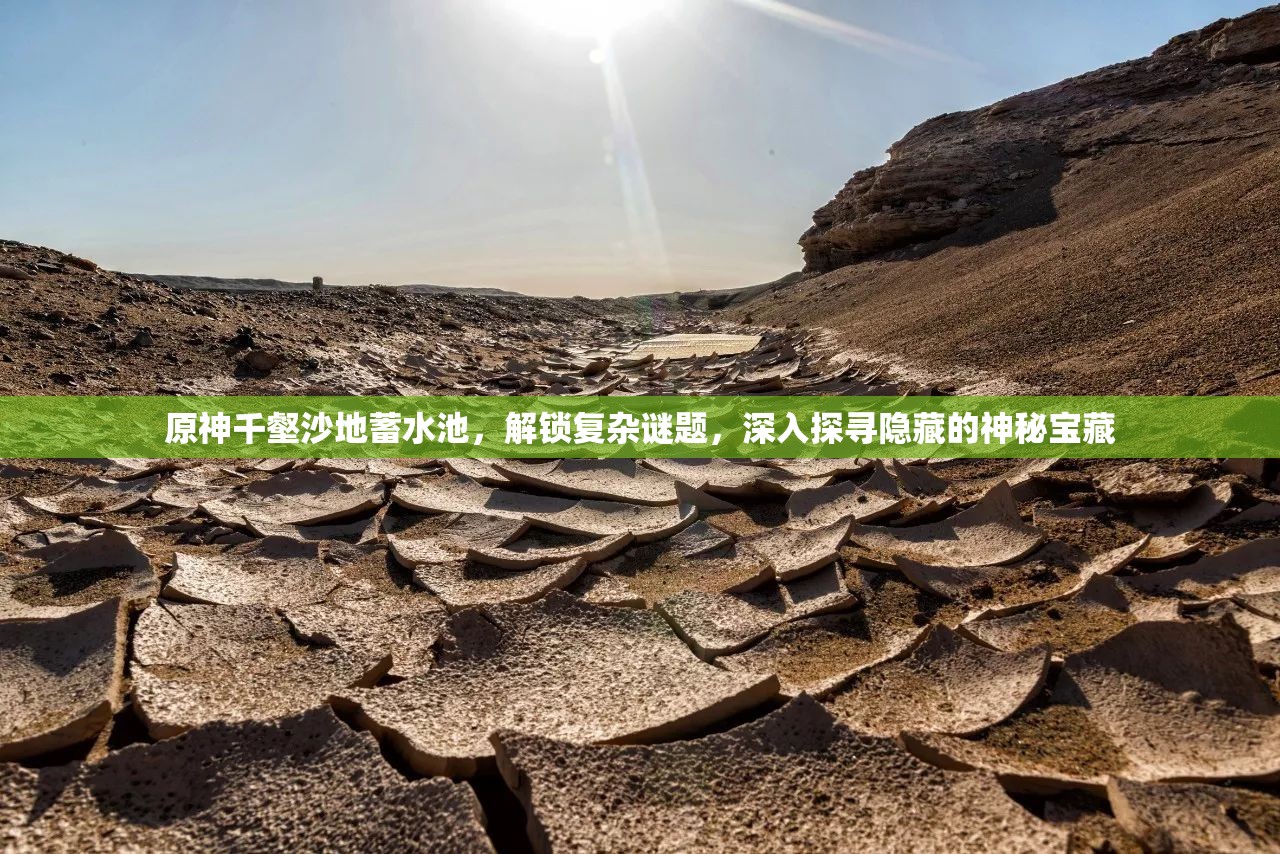 原神千壑沙地蓄水池，解锁复杂谜题，深入探寻隐藏的神秘宝藏
