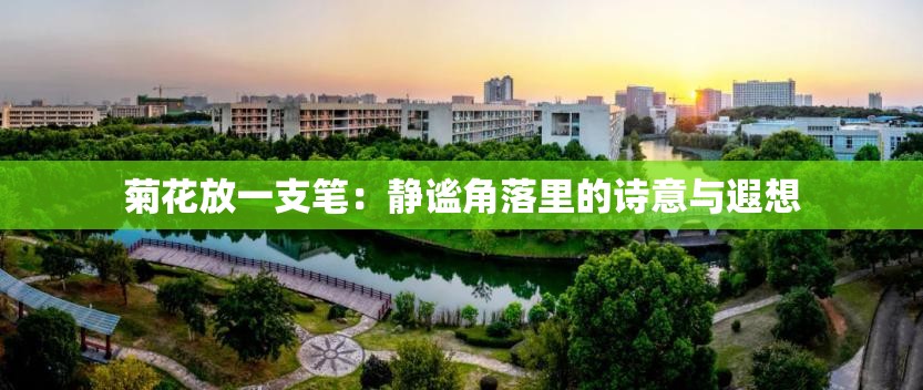 菊花放一支笔：静谧角落里的诗意与遐想