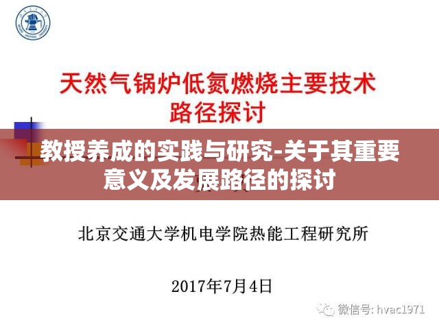 教授养成的实践与研究-关于其重要意义及发展路径的探讨
