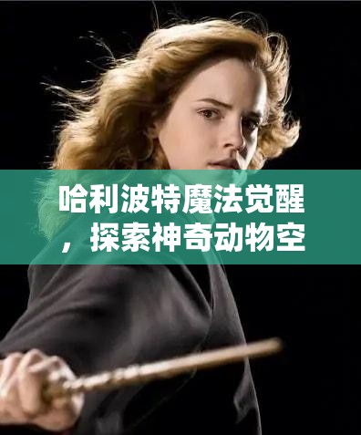 哈利波特魔法觉醒，探索神奇动物空间，开启一段不少于32字的奇妙之旅