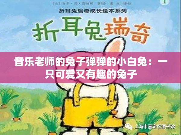 音乐老师的兔子弹弹的小白兔：一只可爱又有趣的兔子