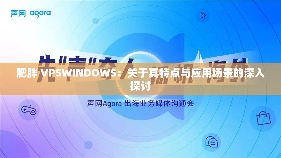肥胖 VPSWINDOWS：关于其特点与应用场景的深入探讨
