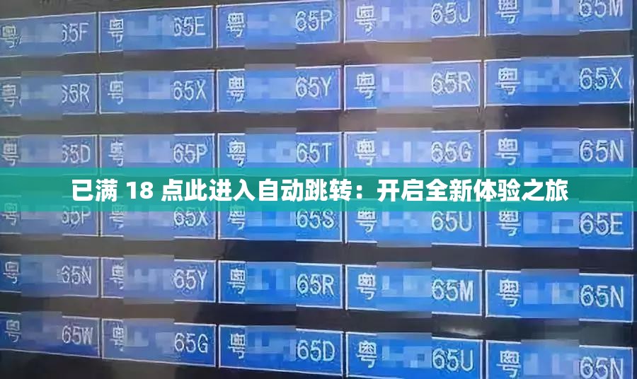 已满 18 点此进入自动跳转：开启全新体验之旅