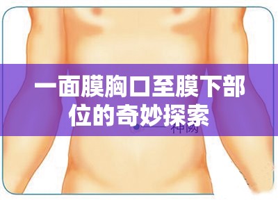 一面膜胸口至膜下部位的奇妙探索