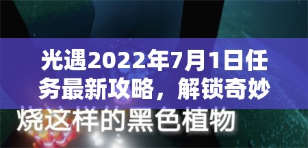 光遇2022年7月1日任务最新攻略，解锁奇妙之旅的钥匙全指南