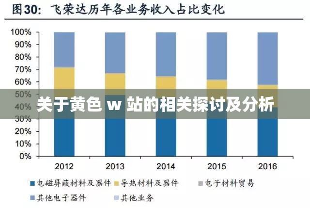关于黄色 w 站的相关探讨及分析