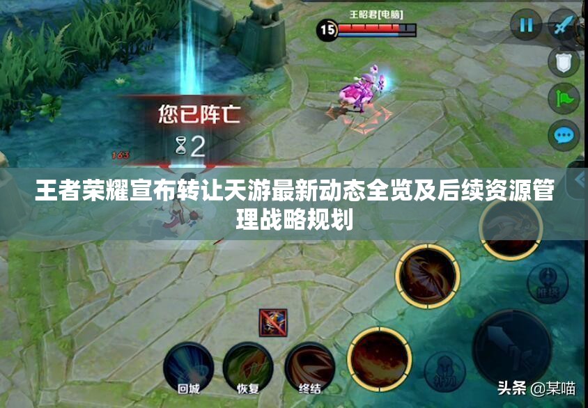 王者荣耀宣布转让天游最新动态全览及后续资源管理战略规划