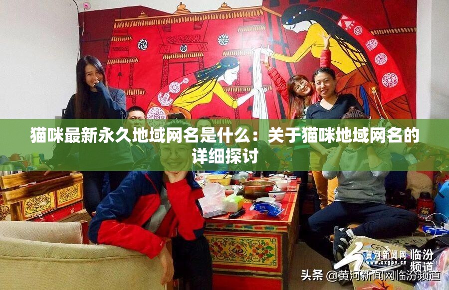 猫咪最新永久地域网名是什么：关于猫咪地域网名的详细探讨