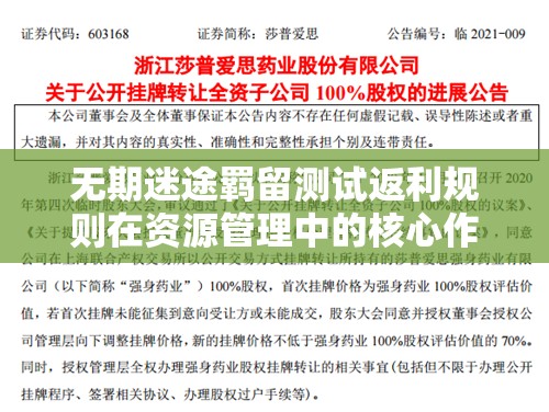 无期迷途羁留测试返利规则在资源管理中的核心作用及高效实施策略解析