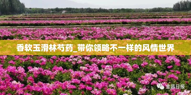 香软玉滑林芍药_带你领略不一样的风情世界