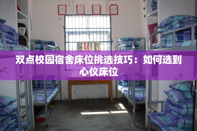 双点校园宿舍床位挑选技巧：如何选到心仪床位