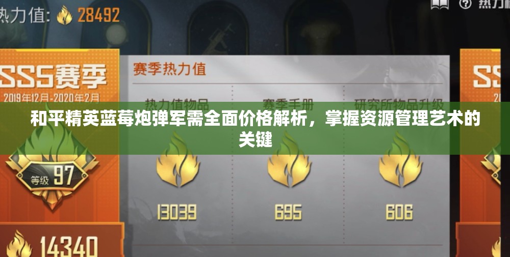 和平精英蓝莓炮弹军需全面价格解析，掌握资源管理艺术的关键