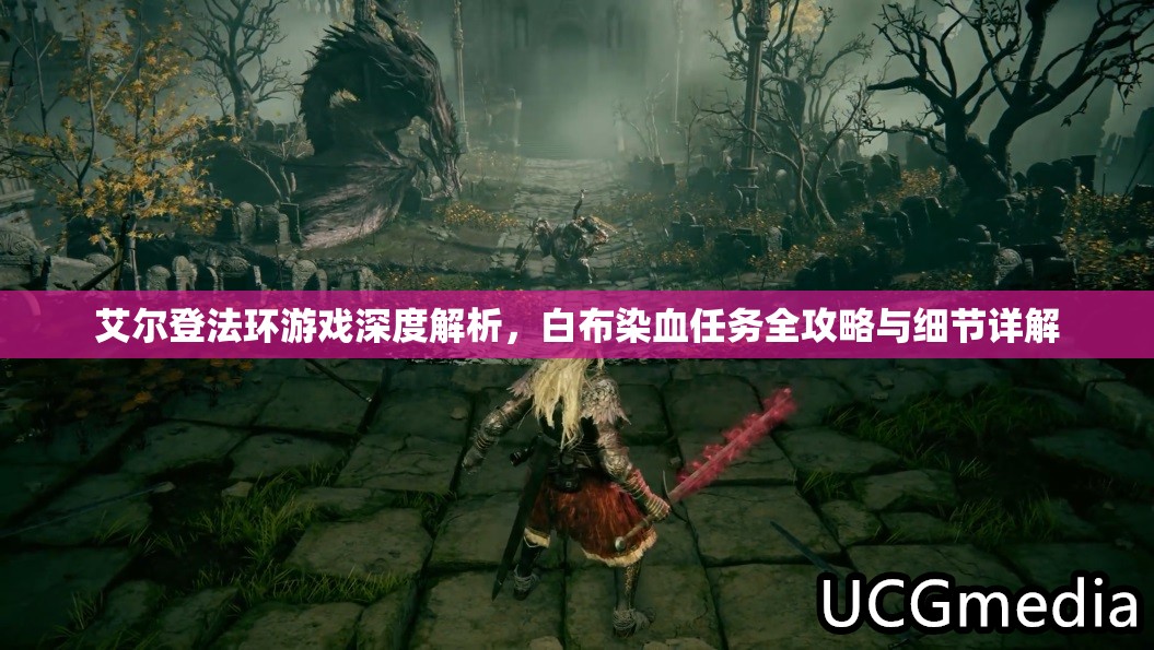 艾尔登法环游戏深度解析，白布染血任务全攻略与细节详解
