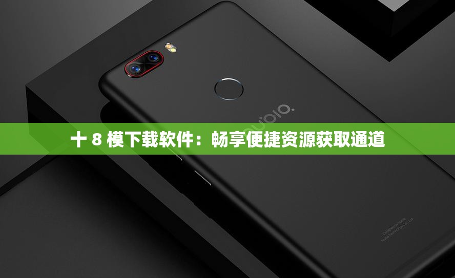 十 8 模下载软件：畅享便捷资源获取通道