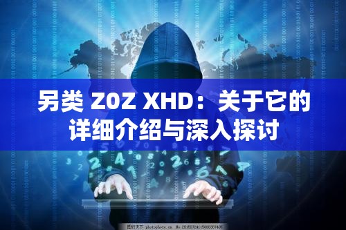 另类 Z0Z XHD：关于它的详细介绍与深入探讨