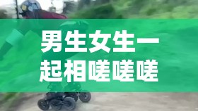 男生女生一起相嗟嗟嗟轮滑鞋免费：畅享轮滑的快乐时光