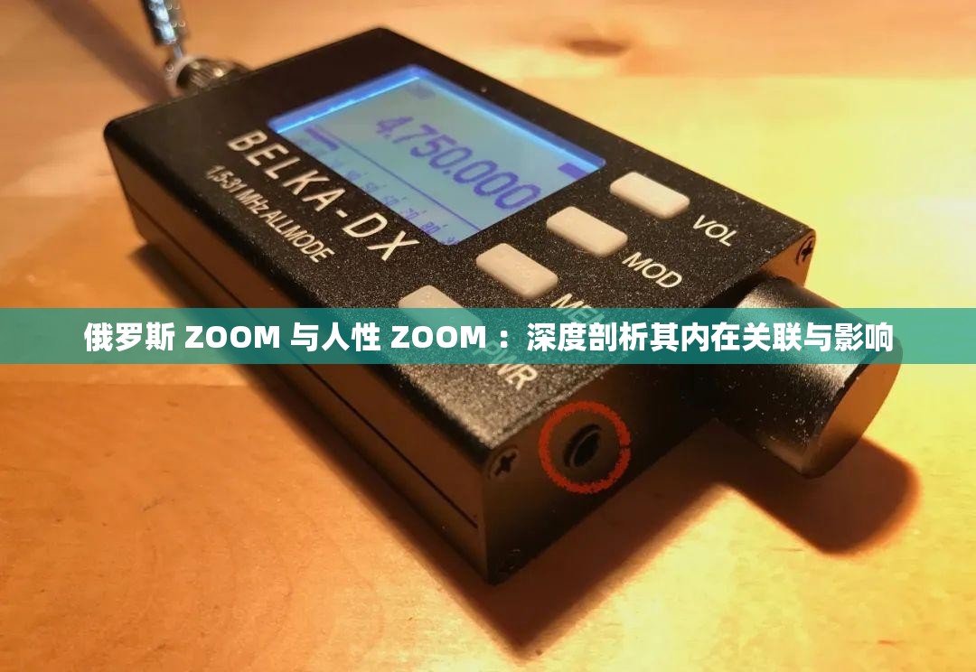 俄罗斯 ZOOM 与人性 ZOOM ：深度剖析其内在关联与影响