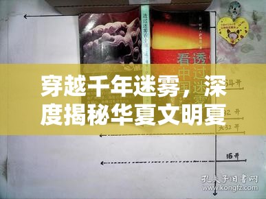 穿越千年迷雾，深度揭秘华夏文明夏商周时期占卜事件全貌概览