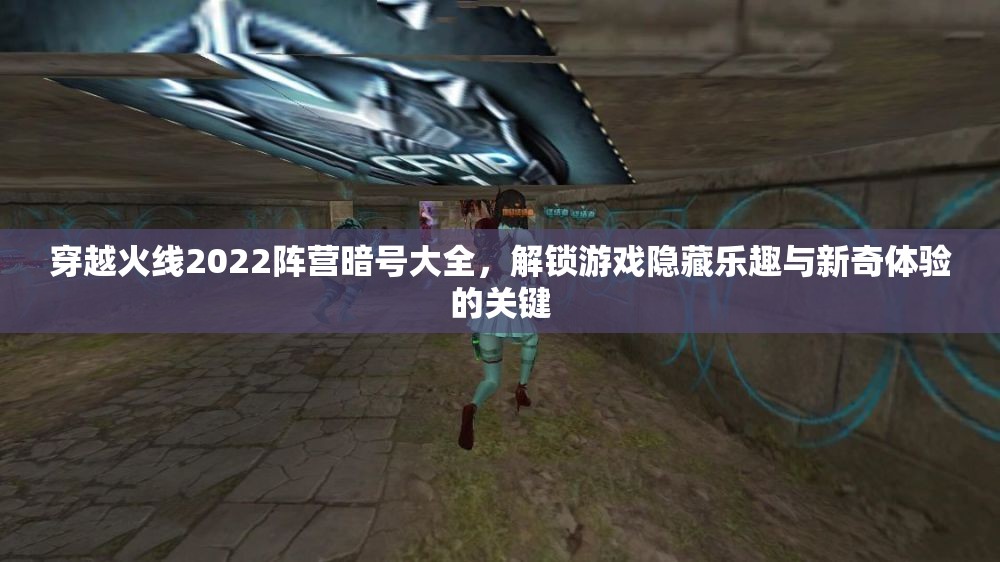 穿越火线2022阵营暗号大全，解锁游戏隐藏乐趣与新奇体验的关键