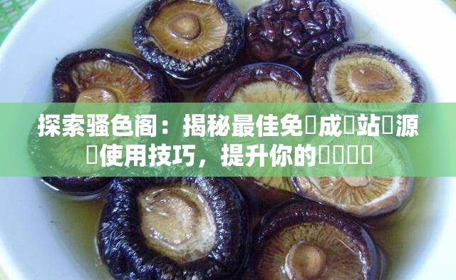 探索骚色阁：揭秘最佳免費成網站資源與使用技巧，提升你的網絡體驗