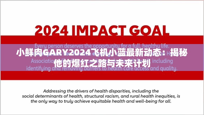 小鲜肉GARY2024飞机小蓝最新动态：揭秘他的爆红之路与未来计划