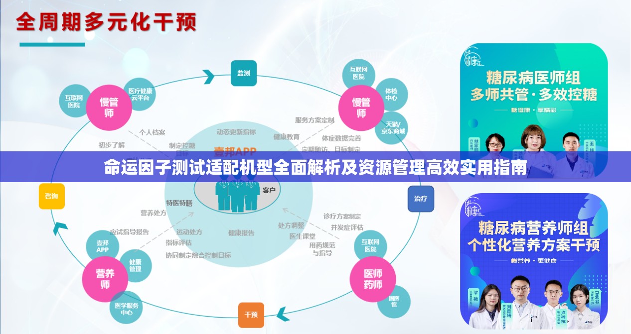 命运因子测试适配机型全面解析及资源管理高效实用指南