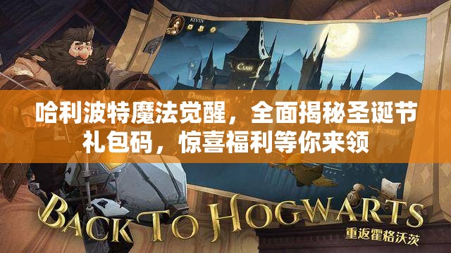 哈利波特魔法觉醒，全面揭秘圣诞节礼包码，惊喜福利等你来领