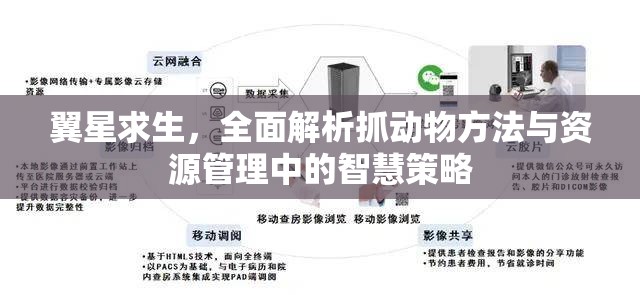 翼星求生，全面解析抓动物方法与资源管理中的智慧策略