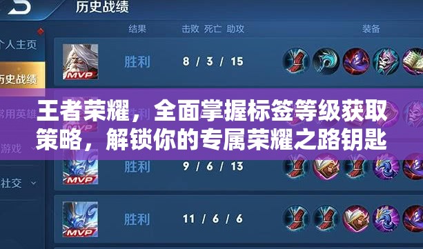 王者荣耀，全面掌握标签等级获取策略，解锁你的专属荣耀之路钥匙