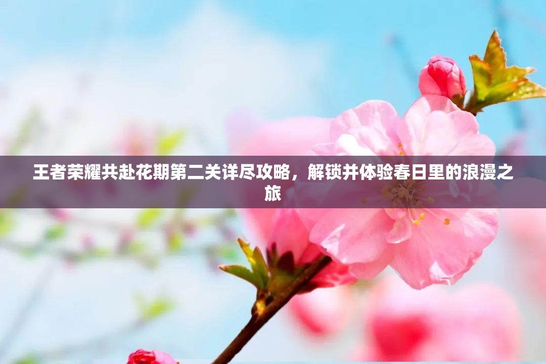 王者荣耀共赴花期第二关详尽攻略，解锁并体验春日里的浪漫之旅