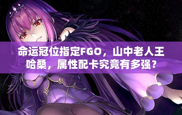 命运冠位指定FGO，山中老人王哈桑，属性配卡究竟有多强？