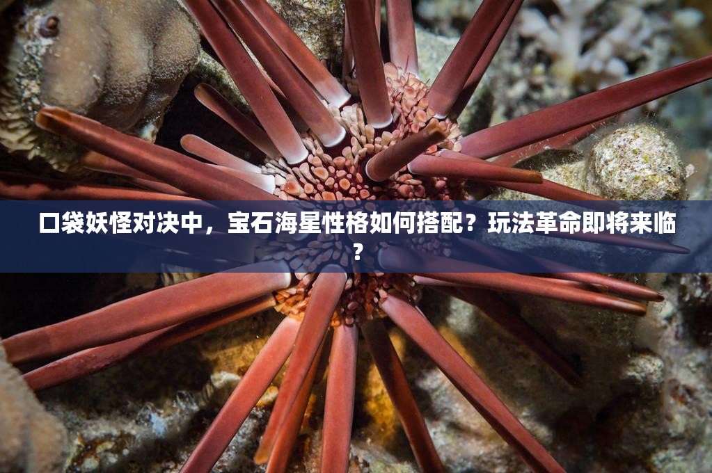 口袋妖怪对决中，宝石海星性格如何搭配？玩法革命即将来临？