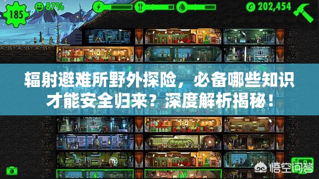 辐射避难所野外探险，必备哪些知识才能安全归来？深度解析揭秘！