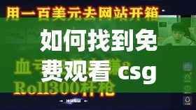 如何找到免费观看 csgo 的网站？有哪些值得推荐的 csgo 免费观看网站？