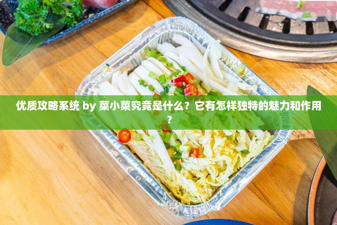 优质攻略系统 by 菜小菜究竟是什么？它有怎样独特的魅力和作用？