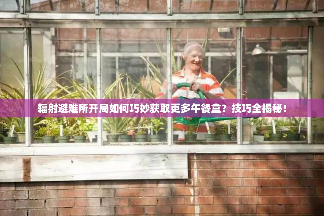 辐射避难所开局如何巧妙获取更多午餐盒？技巧全揭秘！