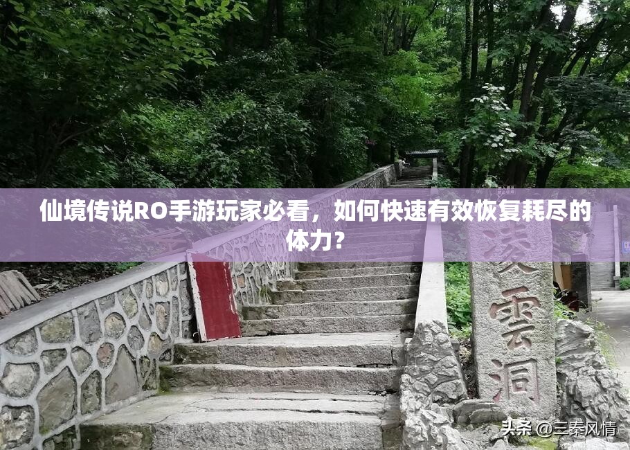 仙境传说RO手游玩家必看，如何快速有效恢复耗尽的体力？
