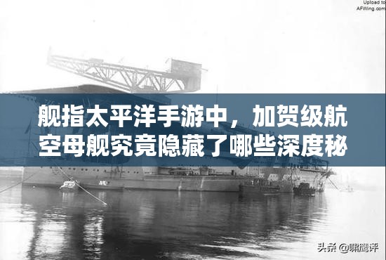 舰指太平洋手游中，加贺级航空母舰究竟隐藏了哪些深度秘密？